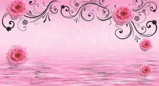 玫瑰 倒影图片