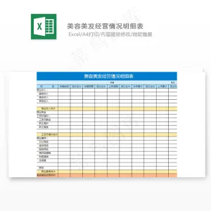 美容美发经营情况明细表
