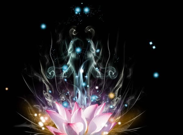 梦幻荷花psd分层素材