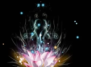 梦幻荷花psd分层素材