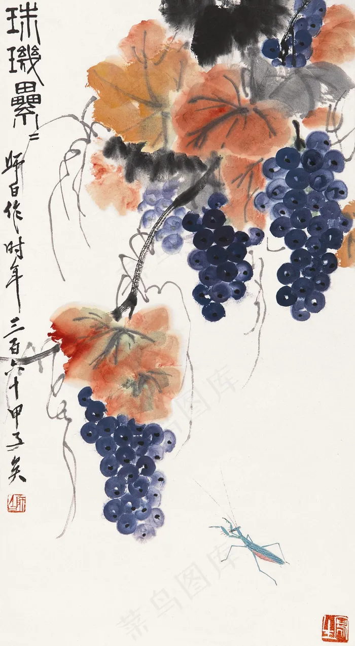 珠璣累累图片