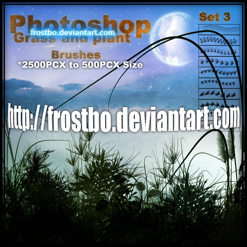 草和植物设置3 PS