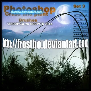 草和植物设置3 PS