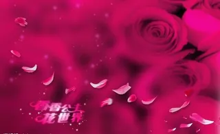 古典的浪漫图片