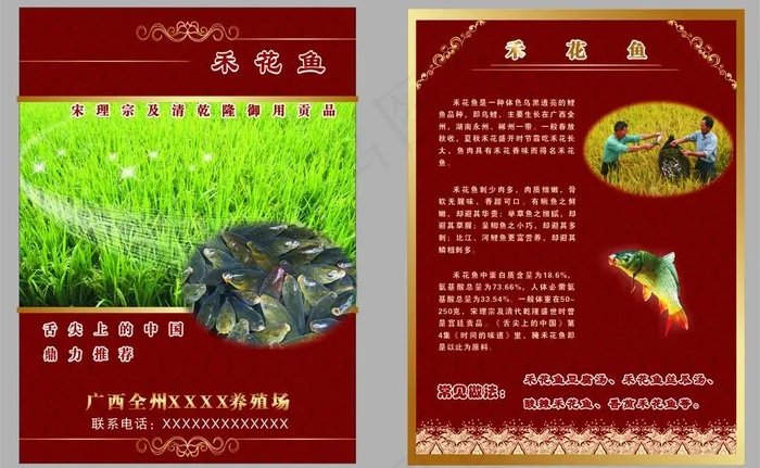 彩色 宣传 单片图片cdr矢量模版下载