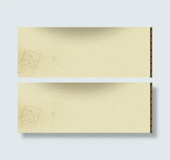 动物图片英文网站模板