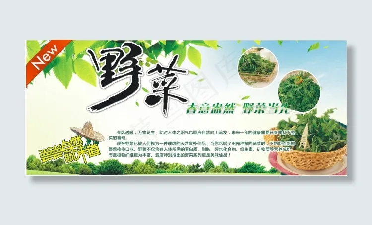 野菜海报店招cdr矢量模版下载