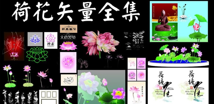 矢量荷花全集图片cdr矢量模版下载