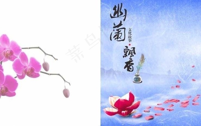 幽兰飘香画册封面图片cdr矢量模版下载