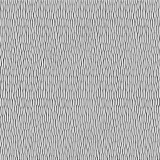 羽毛纹理素材 羽毛纹理素材