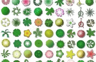 植物平面图例素材 psd