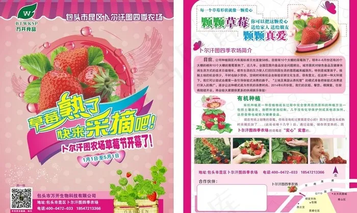 万开草莓单页图片(216X291)cdr矢量模版下载