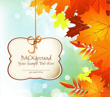 秋天枫叶梦幻背景 吊牌图片 秋天枫叶梦幻背景 吊牌图片