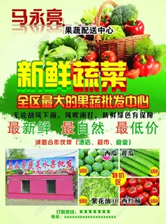 蔬菜批发配送图片 蔬菜批发配送图片