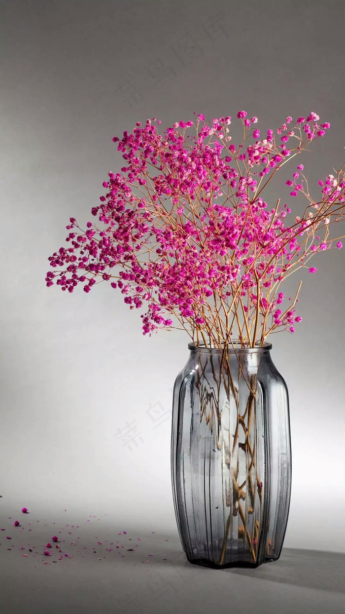 灰色调花艺高清摄影图片