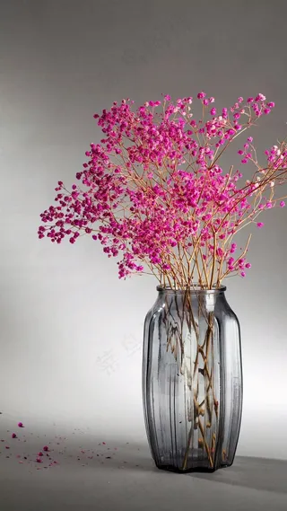 灰色调花艺高清摄影图片