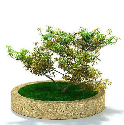 园林植物、景观植物、树木3D模型免...