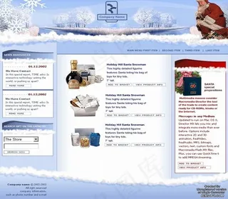 圣诞节产品模板