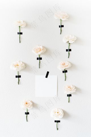 简约小清新文艺风插花静物摆拍背景