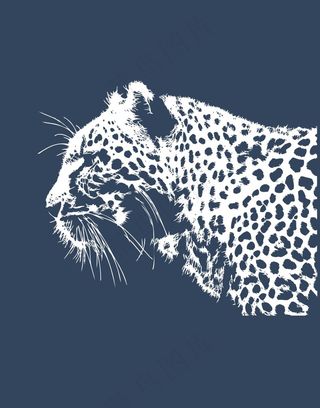 豹猎豹动物剪影无框画素材插画