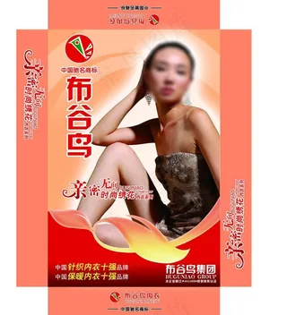 服装包装模板图片