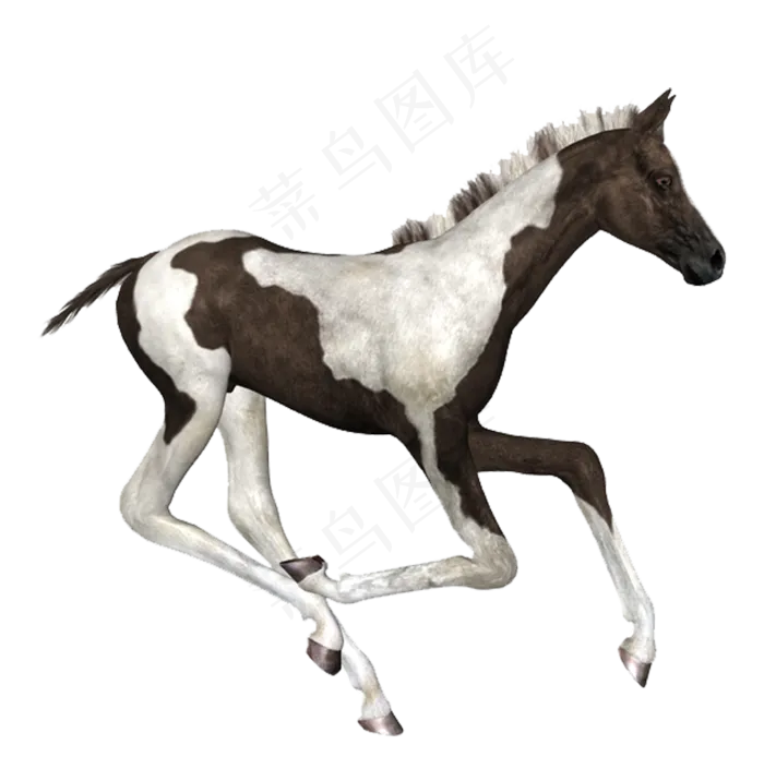 神马素材分层大图免扣