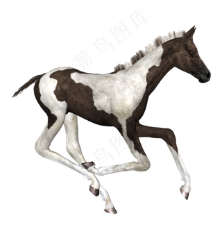 神马素材分层大图免扣