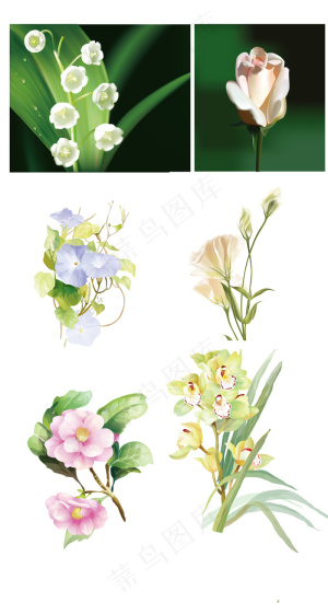 唯美手绘花卉