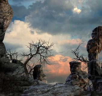 梦幻世界 天空 畸形怪石 枯树图片
