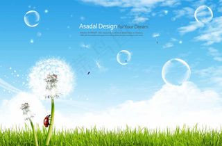 草地上的蒲公英和泡泡