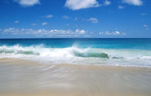 夏日海边图片