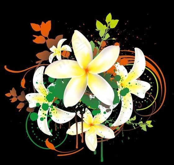 鸡蛋花与墨迹矢量素材 eps格式_...eps,ai矢量模版下载