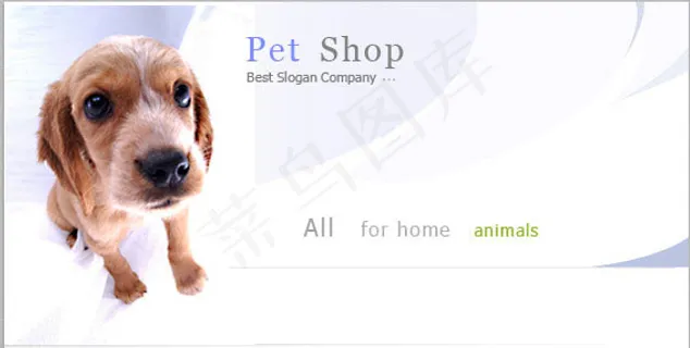 宠物小筑网页模板