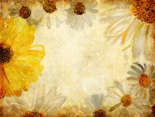 黄色花朵高清背景