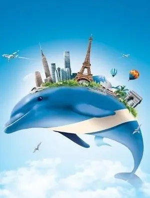 海豚追逐梦 下载
