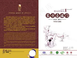 东方豪迈门画册封皮
