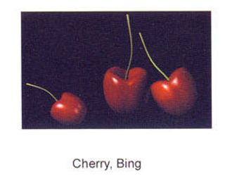 食品3d水果素材3d免费模板 7