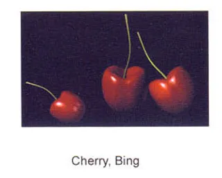 食品3d水果素材3d免费模板 7