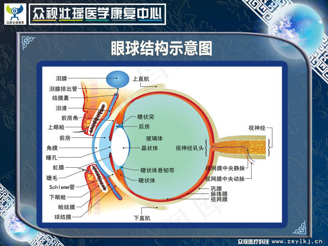 墙文化 眼球示意图psd模版下载