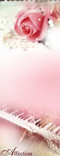 婚纱摄影玫瑰背景图片