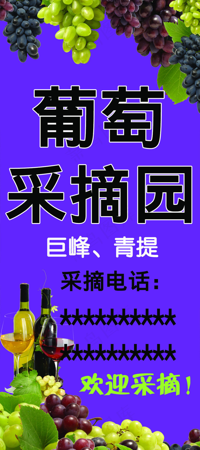 葡萄采摘园彩旗(2268X5102(DPI:72))psd模版下载