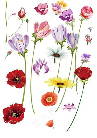 花卉PSD分层素材