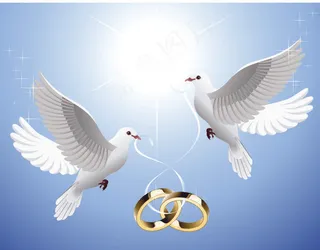 叼着情侣对戒的白鸽矢量素材