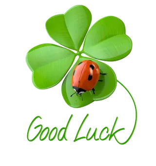 三叶四叶草各种各样绿色植物透明pn...