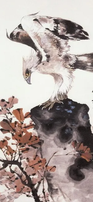 白鹰图片