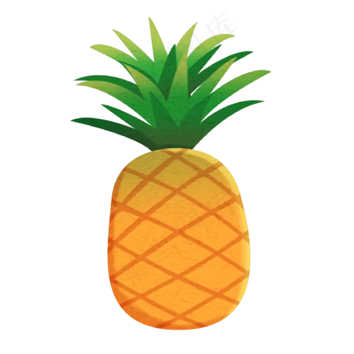 菠萝凤梨热带水果(2000*2000px 300 dpi )psd模版下载