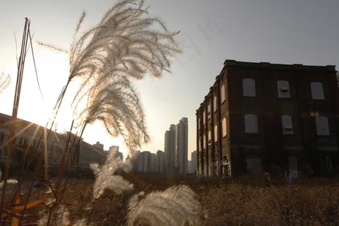 上海市莫干山路艺术创意园区图片 上海市莫干山路艺术创意园区图片