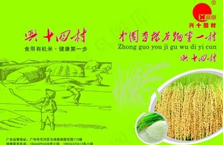大米宣传单图片