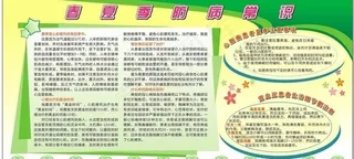 春夏季防病常识 板报图片