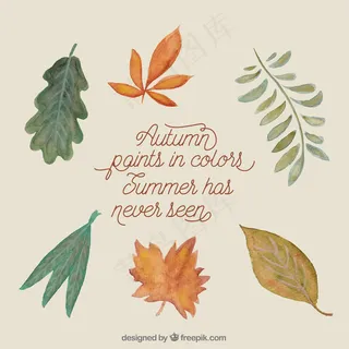 秋天的颜色，夏天从来没有见过